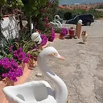 Elenh House Argostoli (Kefalonia)