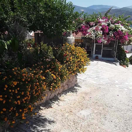 Elenh House