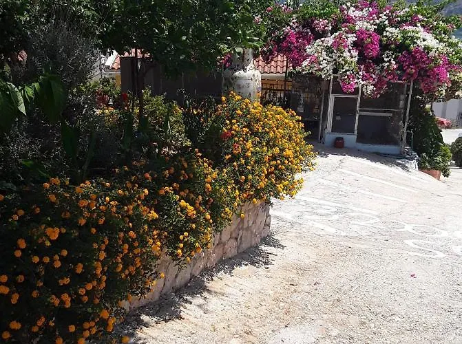Elenh House