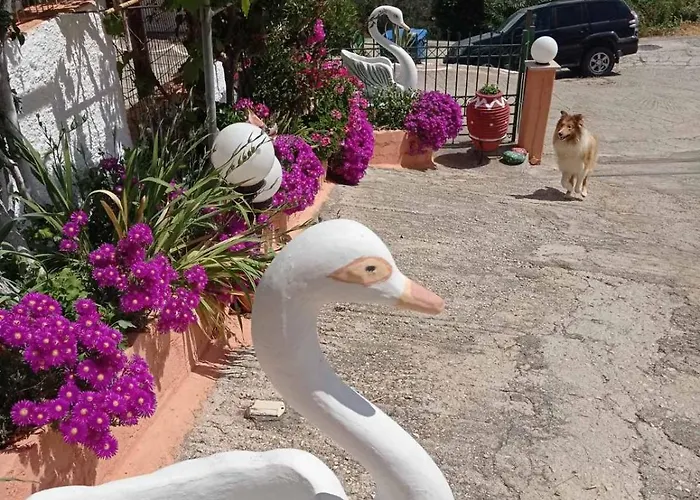 Elenh House Αργοστόλι